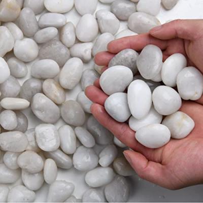 Hisredsun Decorative White Stones Hisredsun Decorative White Stones
