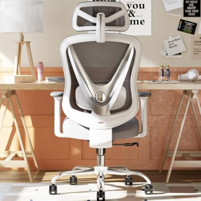 HOLLUDLE Ergonomic Office Chair HOLLUDLE Ergonomic Office Chair