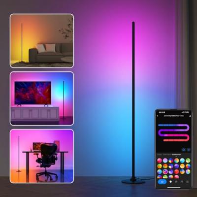 Lanmonlily Corner Floor Lamp