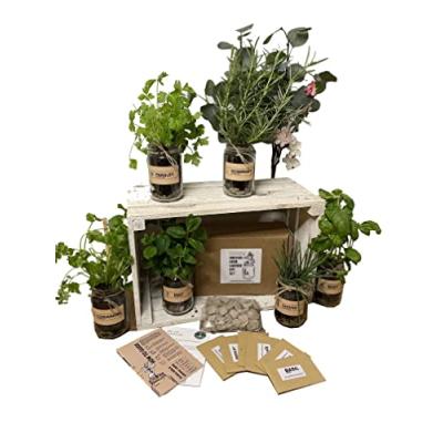 Rustic Herb Garden Kit with Jars Rustic Herb Garden Kit with Jars
